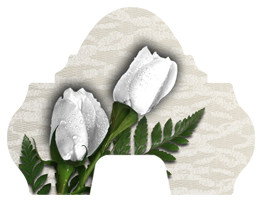 DARAY-L-060 2 Roses White